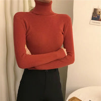 Women's Soft Turtleneck Cashmere Sweater Knitted Pullovers