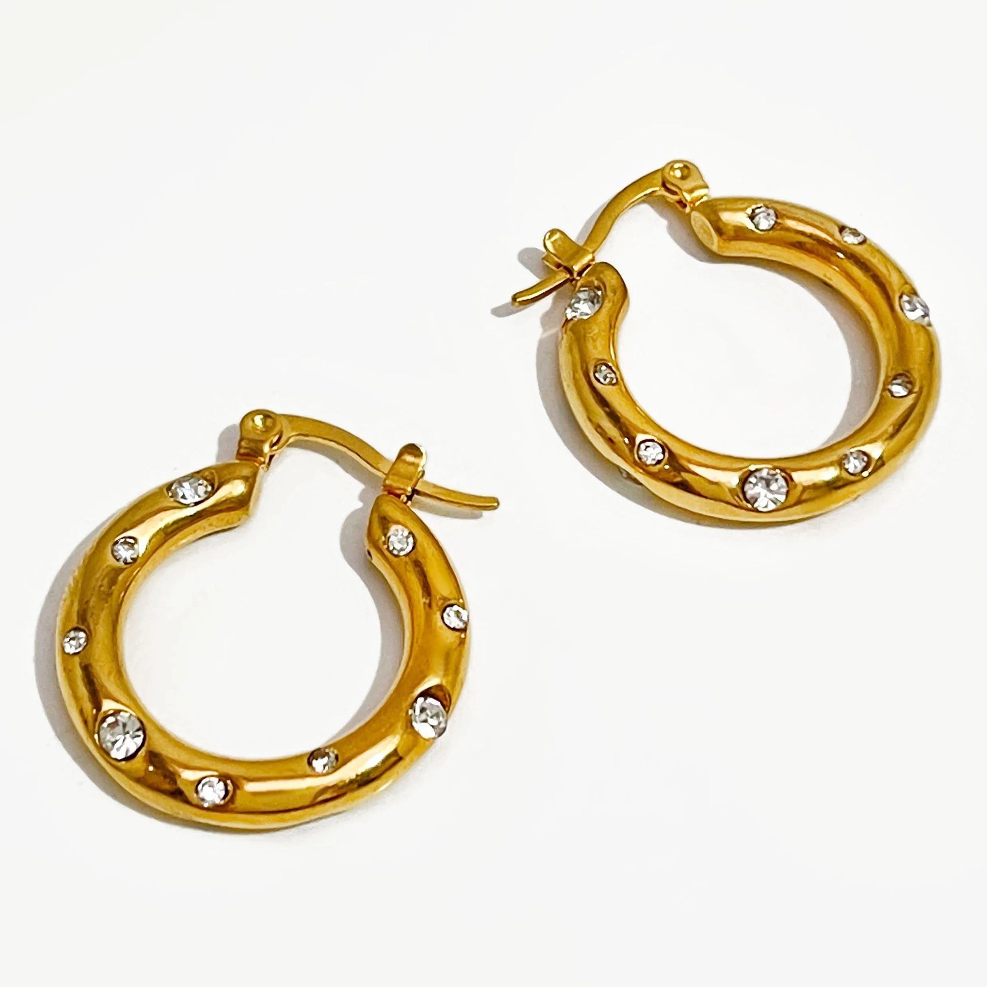 Women's Stunning Titanium Steel Gold Plated Earrings