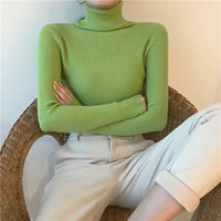 Women's Soft Turtleneck Cashmere Sweater Knitted Pullovers